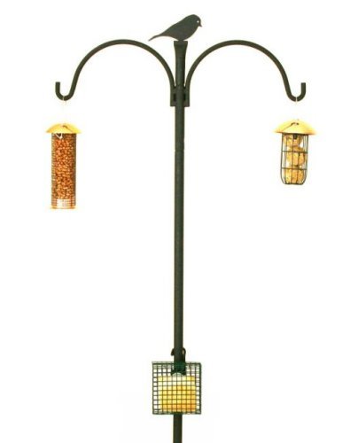 Bird Feeding Station New Advanced Heavy Duty Model Feeder Pole