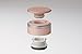 Zojirushi Stainless Steel Travel Mug with Tea Leaf Filter, 1 Count (Pack of 1), Pink Champagne