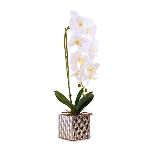 Amazon Com Imiee Artificial Arrangement With Vase Decorative