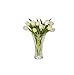 Marquis By Waterford Dozen Rose Honour 10