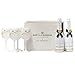 Moet Chandon Ice Imperial White Plastic Acrylic Goblet By Moet Version 2 Single-Sided