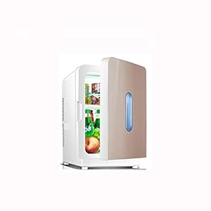 YANJ-20L-Portable-Mini-Fridge-12v-220vElectric-Cool-Box-Car-refrigeratorDual-core-Refrigeration-Hot-And-Cold-Dual-Use-Cooling-Temperature-Difference-30-deg-C-LOLDF1-Color-Alocal-Gold YANJ 20L Portable Mini Fridge 12v 220v,Electric Cool Box Car refrigerator,Dual-core Refrigeration Hot And Cold Dual Use Cooling Temperature Difference 30 deg; C LOLDF1 (Color : Alocal Gold)