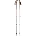 Black Diamond Trail Ergo Cork Trekking Poles