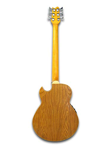 1 Fretless+String+Acoustic+Electric+Cutaway