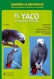 El Yaco O Loro Gris Africano/ Training African Grey Parrots: Cuidados, Crianza, Adiestramiento (Anim by 