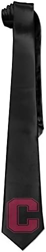 FLEE Formal / Informal Word Art Letter C Neck Tie / Ties