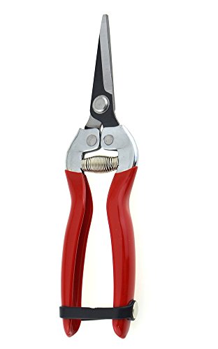 Thosdt Micro-Tip Pruning Snip,Florist Multi-Tasking Garden Scissors, Small Hand Pruner for Arranging Flowers, Trimming Plants & Harvesting Hydroponic Herbs - Thumbnail 6