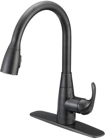Delaney 2000 Kitchen Faucet 1 Handle Pulldown P22102 10 Ada Nsf