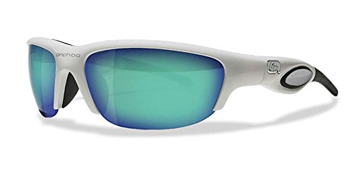 amphibia sunglasses dealers