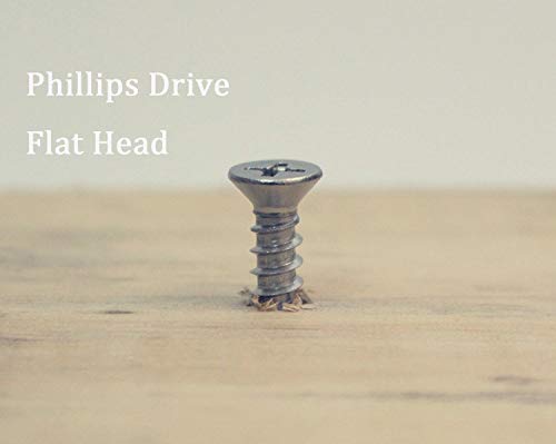 5 x 40mm Screw, Flat Head, Phillips Drive, Self Drilling, 304 Stainless Steel Drywall Wood Screws 50Pcs - Thumbnail 4