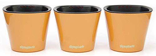 Window Garden - Aquaphoric Self Watering Mini Planter Pots (3 Pack) - Grow On Indoor Sill. Perfect for Potting Small Plants, Herbs, African Violets, Succulents, or Start Seedlings.