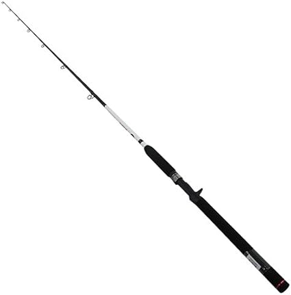 lews mr striper combo