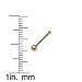 JewelryWeb Solid 14k Gold 1.5-mm 20-Gauge Ball Nose Stud Ring (Yellow-Gold White-Gold)