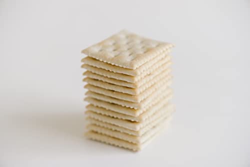 BACK TO NATURE ORGANIC SALTINE CRACKERS – DAIRY FREE, NON-GMO, MADE WITH WHEAT FLOUR & SEA SALT, DELICIOUS & QUALITY SNACKS – 7 OUNCE