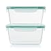 OXO Good Grips 9.6 cup Smart Seal Leakproof Food Storage Container