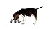 OurPets DuraPet Premium Dishwasher Safe Stainless Steel Dog Bowl for Food or Water [Multiple Sizes for Small to Large Dogs] in Traditional or Wide Base Design - 3.5 CUPS