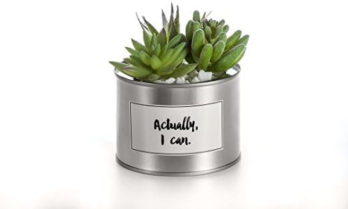 Opps Mini Artificial Plants Plastic Succulent Cactus With Special Silver Can Pot Design For Home Décor
