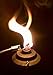 ARCFIRE Plasma Candle Grill Fire Lighter Electric USB Rechargeable w/ LED Flashlight Windproof Long Flexible Neck - Fireworks Restaurant Home Kitchen Camping Wedding BBQ Stove Bonfire Tiki Torch