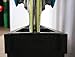 StoreYourBoard Ski Storage Rack, Freestanding 5 Pair Skis Floor Rack, Standard Skis