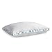 Beautyrest Firm Support NaturesLoft Pillow, Set of 2, King