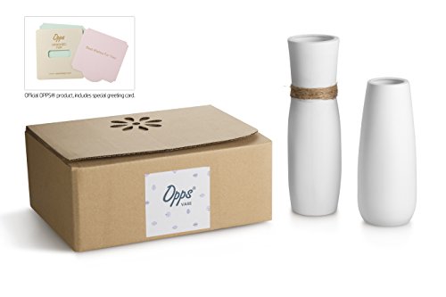 2 Opps+Ceramic+differing+Unique+Design