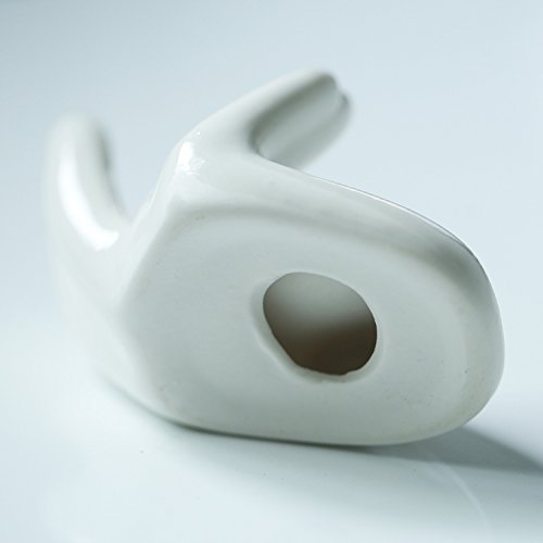Dahey Air Plant Pot Ceramic Tillandsia holder, Hand