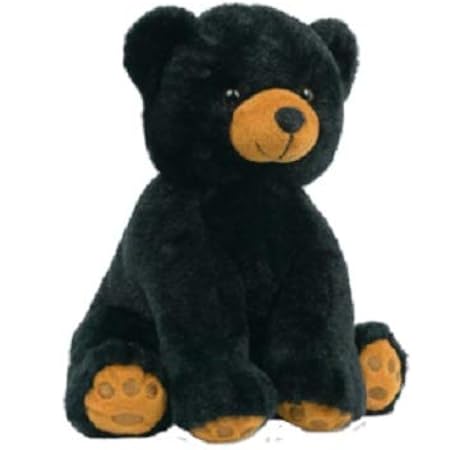 bearegards comfort bears