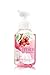 Bath & Body Works Gentle Foaming Hand Soap, Winter’s Magic Collection - Frosted Cranberry + Winter White Woods + Sparkling Mint Blossom  (Set of 3) 