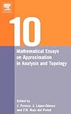 Ten Mathematical Essays on Approximation in Analysis and Topology