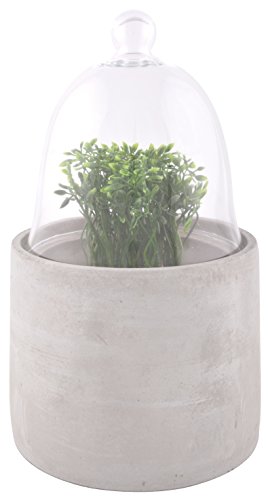 Esschert Design AGG38 Cloche with Concrete Base, Medium