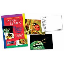 Stages Learning Lang-O-Learn Esl Insects & Bugs Vocabulary Photo Picture Flashcards