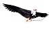 The Mighty Bald Eagle 3d Kite with 6'- 6