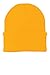 Port & Company Men's Knit Cap