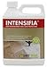 INTENSIFIA (QT) 