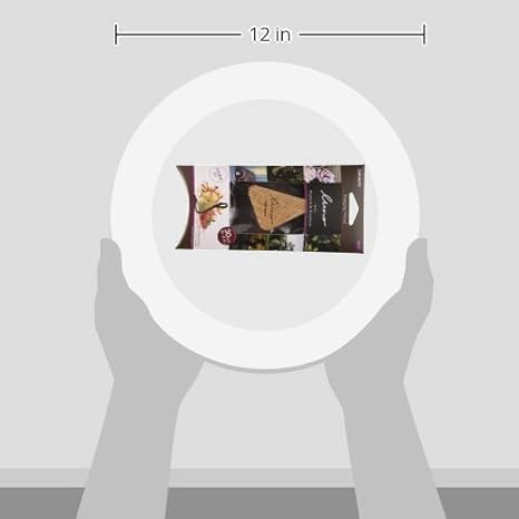 Amazon カーメイト 車用 消臭芳香剤 ルーノ ハンギングウッド 吊り下げ型 天然木 プルメリア ラズベリー 14g H613 車 バイク 車 バイク