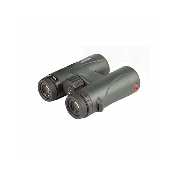 CJSWT Ferngläser für Erwachsene, 10x42 Compact HD Fernglas mit Low Light Night Vision für Vogelbeobachtung Jagd Wandern…