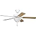 Progress Lighting P2621-30EBWB 2-Light Fan Light Kit Energy Star Rated, White