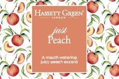 Hassett Green London - Just Peach - Fragrance Oil Reed Diffuser Refill - Larger Size 250ml Bottle, 250 ml (Pack of 1) - Image 5