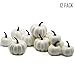 YOFIT 12 Pcs Thanksgiving Table Decorations Artificial Pumpkins, Fake Mini Plastic Pumpkins, Lifelike Simulation Foam Pumpkins Set Friendgiving Tabletop Decorations (White)