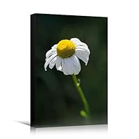 Canvas Wall Art White Petal Close Up Bedroom Close Up Colorful Floral Multicolor Petal Photography Romantics - 12x18 inches