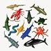 US Toy Assorted Ocean Sea Animals Action Figure (Lot of 12)