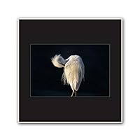 Framed Canvas Wall Art A Bird Standing on Canvas Prints Home Artwork Decoration for Living Room,Bedroom - 16x16 inches