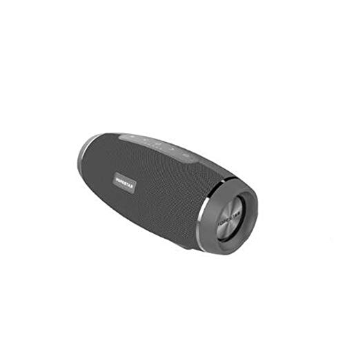Haut-Parleur Portable Bluetooth étanche Voyage en Plein airHaut-Parleur Bluetooth Carte Portable Double Haut-Parleur Gris 22.6cmx10.1cm