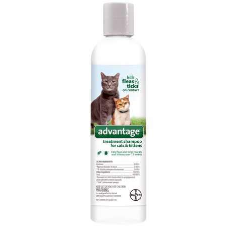 Bayer Advantage Treatment Shampoo for Cats (8 oz)