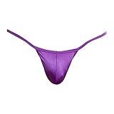 Daniel Alexander DA608 Brazilian Back String Bikini Purple Mens Underwear