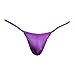 Daniel Alexander Mens Brazilian Back String Bikini V-Shaped Pouch Enhancing Sexy Sheer Underpants Purple