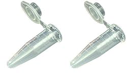 Globe Scientific 111558 Polypropylene Graduated