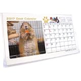 2017年プレーリードッグ卓上カレンダー