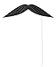 Unique Pirate-Designs Photo Booth Props, Assorted, Multicolor