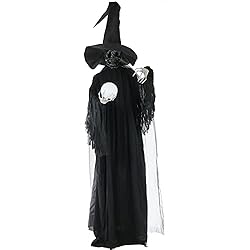 Haunted Hill Farm HHWITCH-2FL Life-Size Animated
